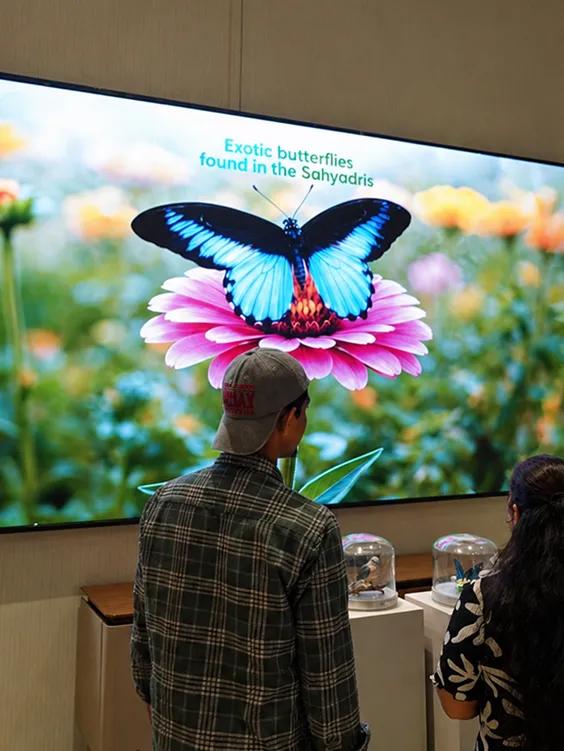 Interactive wall design.jpg
