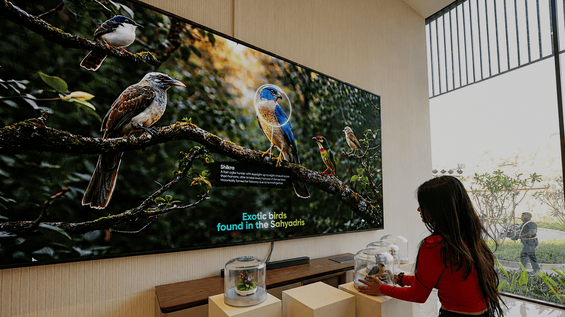 Interactive Solutions